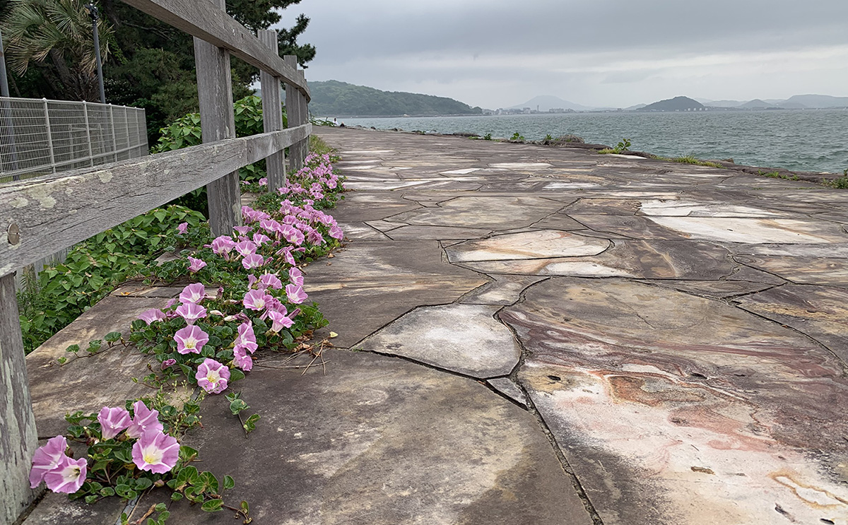 協同組合トータルサポートへのよくある質問と回答