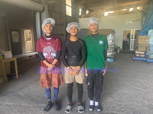 技能実習に取り組む若者達。