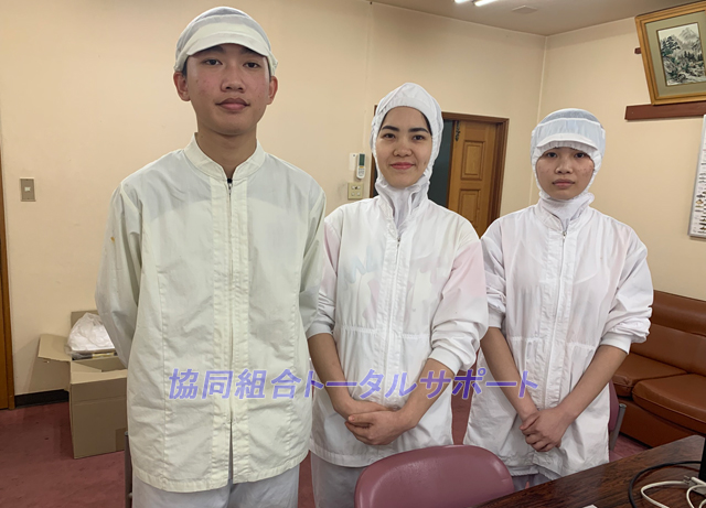 外国人技能実習生受入れの企業メリット